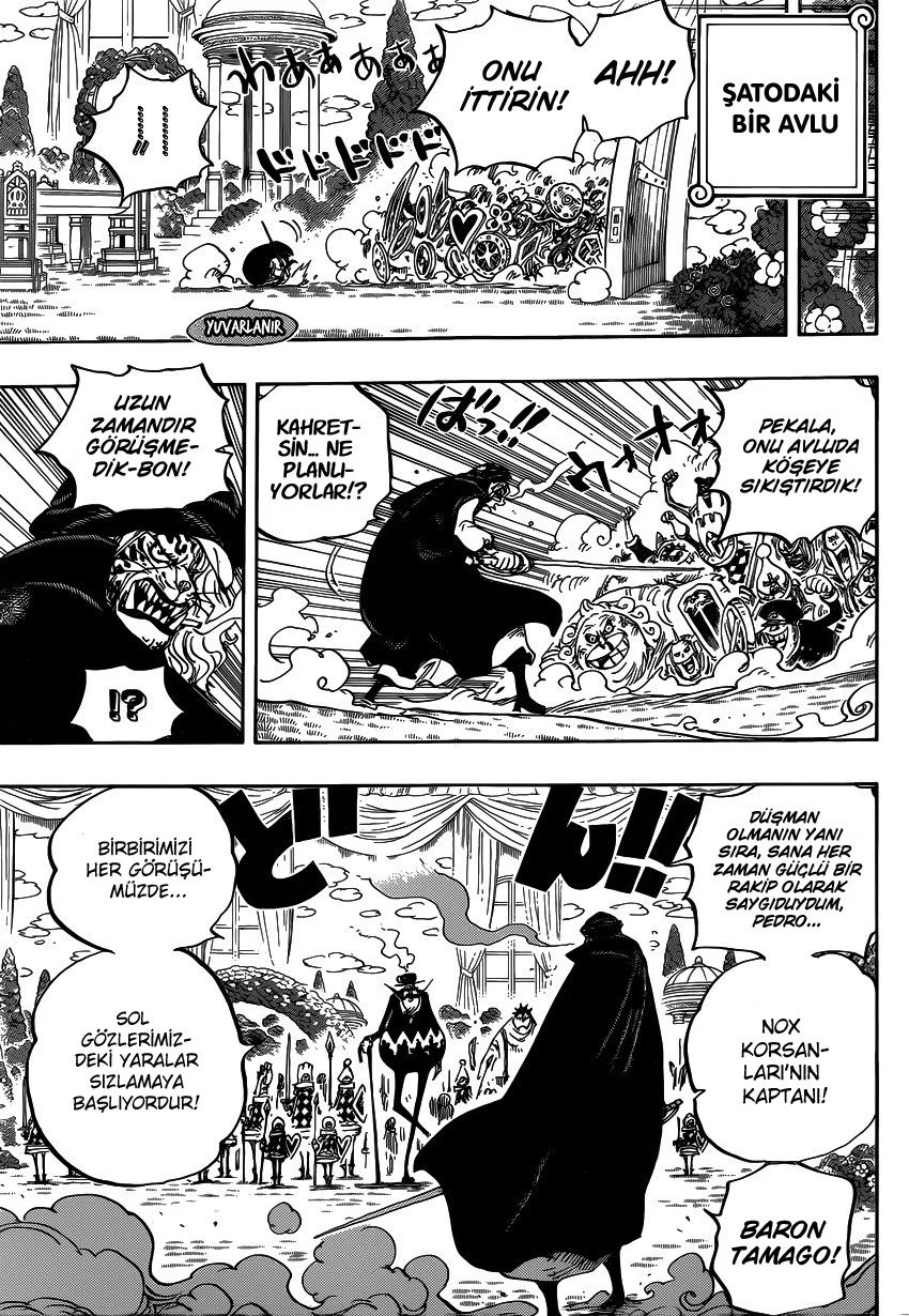 One Piece - Bölüm 849 - Sayfa 15