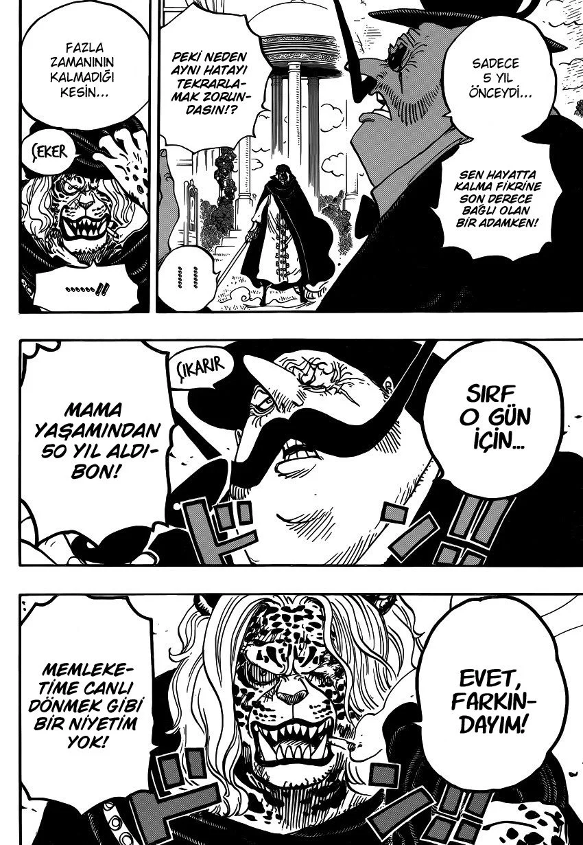 One Piece - Bölüm 849 - Sayfa 16