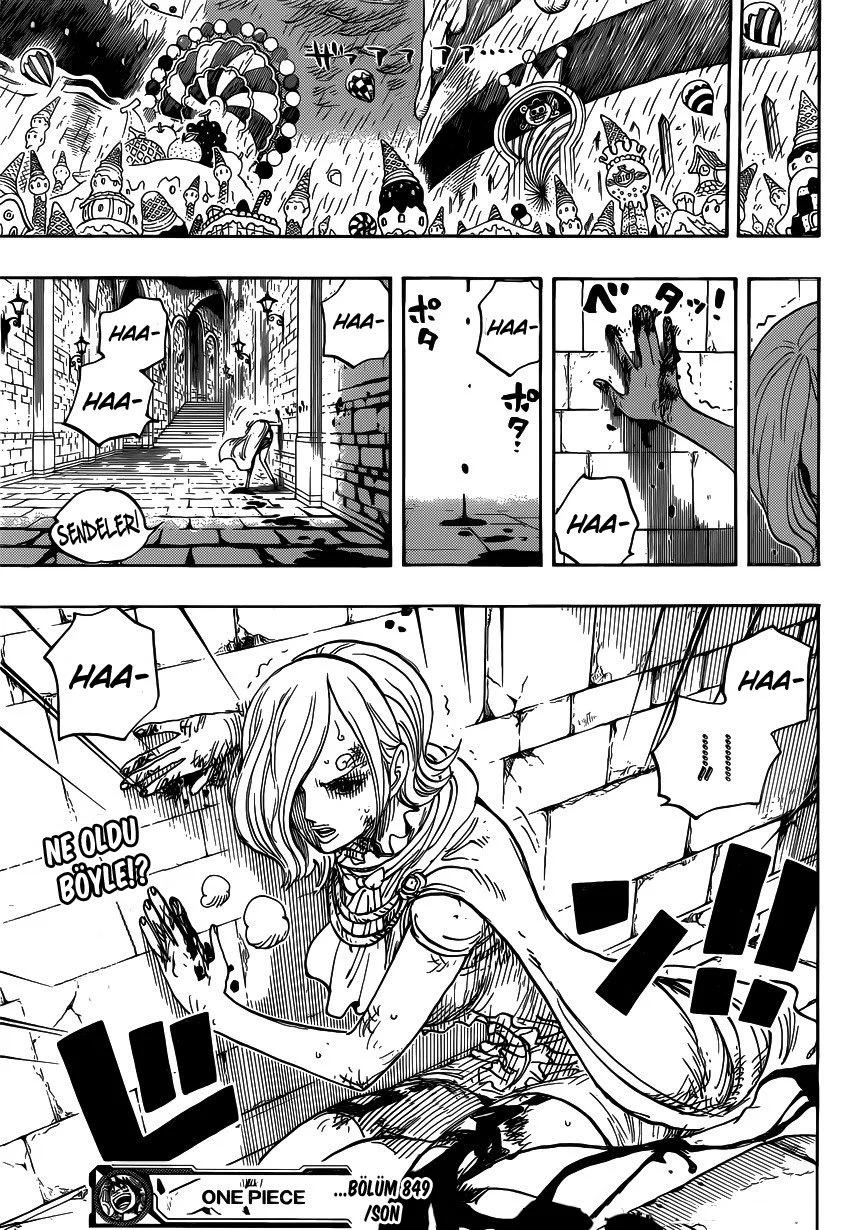 One Piece - Bölüm 849 - Sayfa 17