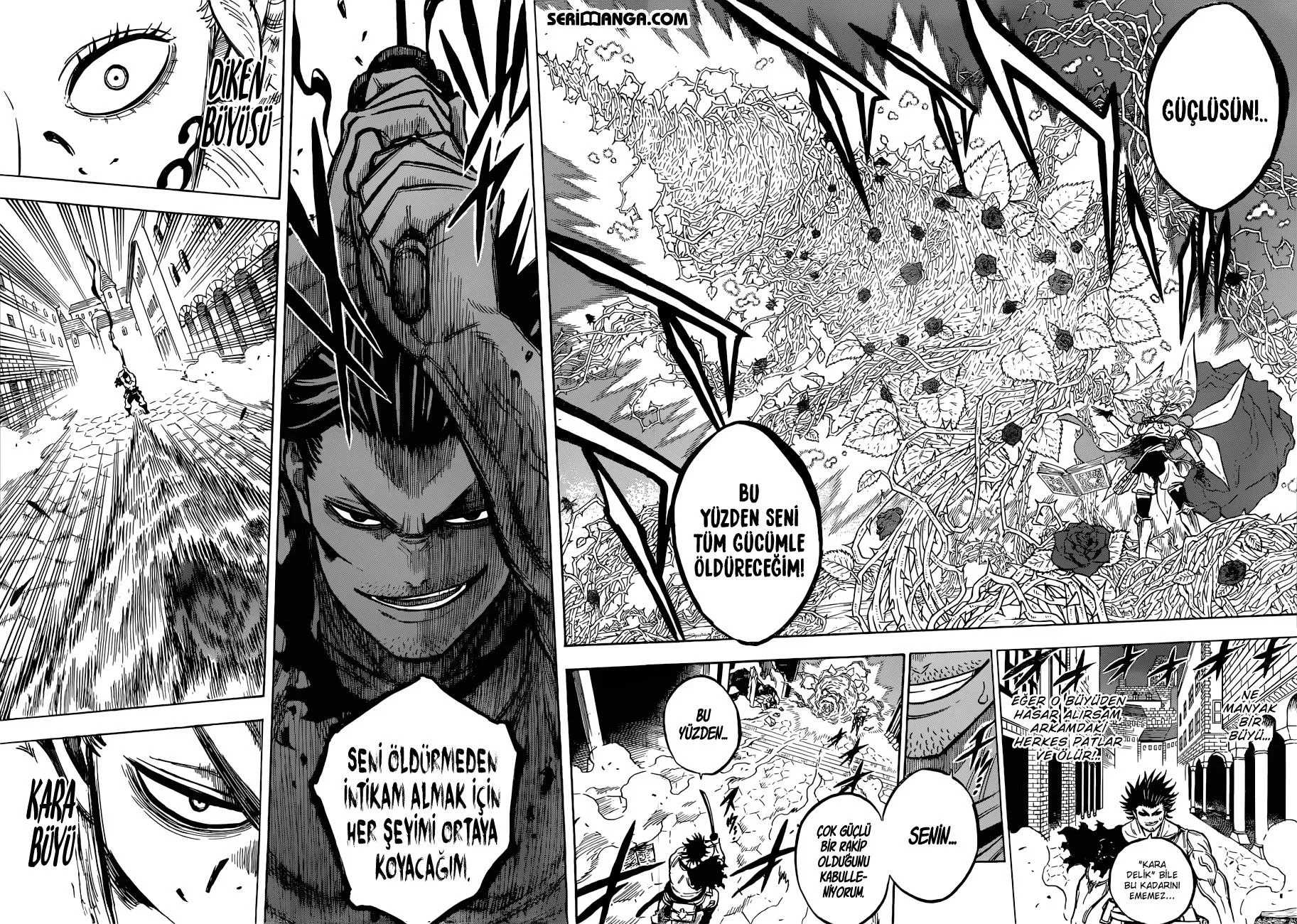 Black Clover - Bölüm 169 - Sayfa 13