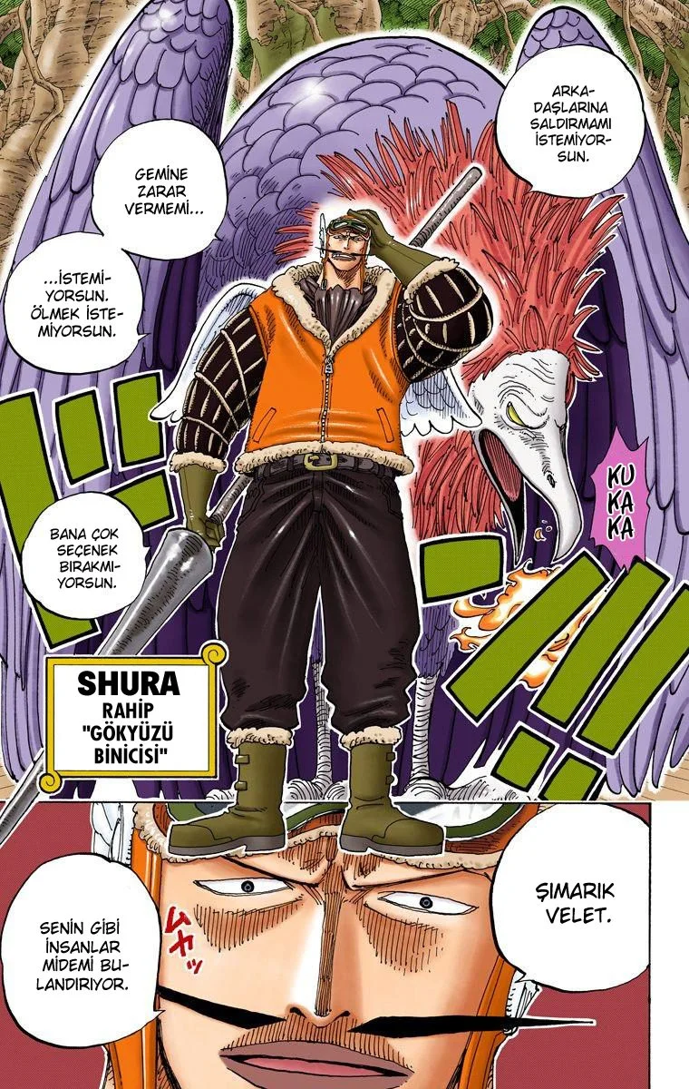 One Piece - Bölüm 248 - Sayfa 11