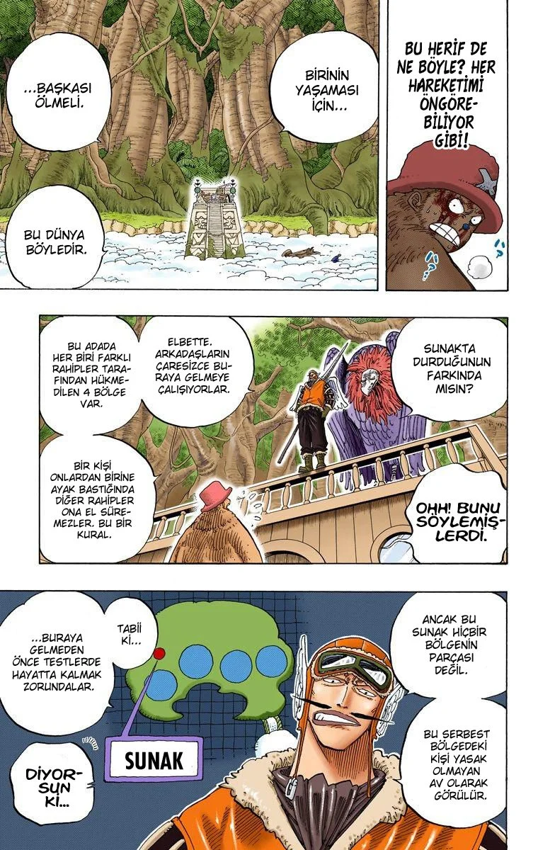 One Piece - Bölüm 248 - Sayfa 13