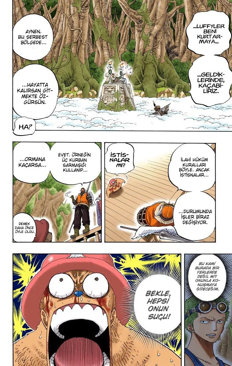 One Piece - Bölüm 248 - Sayfa 14