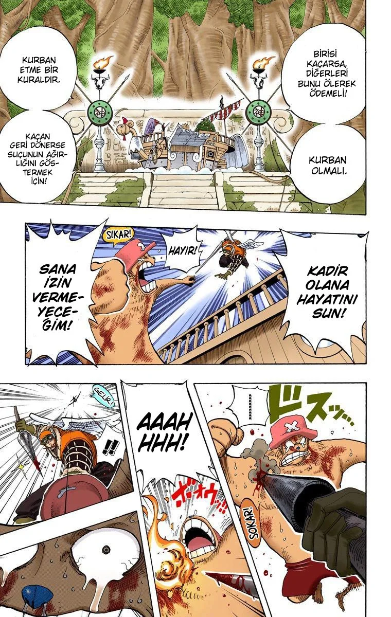 One Piece - Bölüm 248 - Sayfa 15
