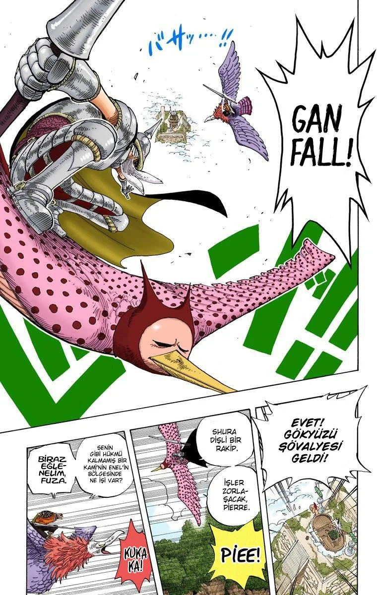 One Piece - Bölüm 248 - Sayfa 17