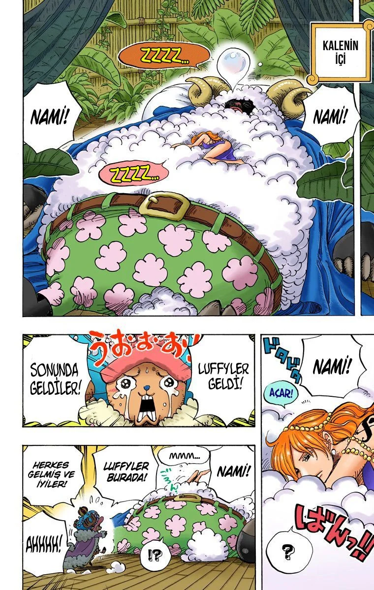 One Piece - Bölüm 806 - Sayfa 12