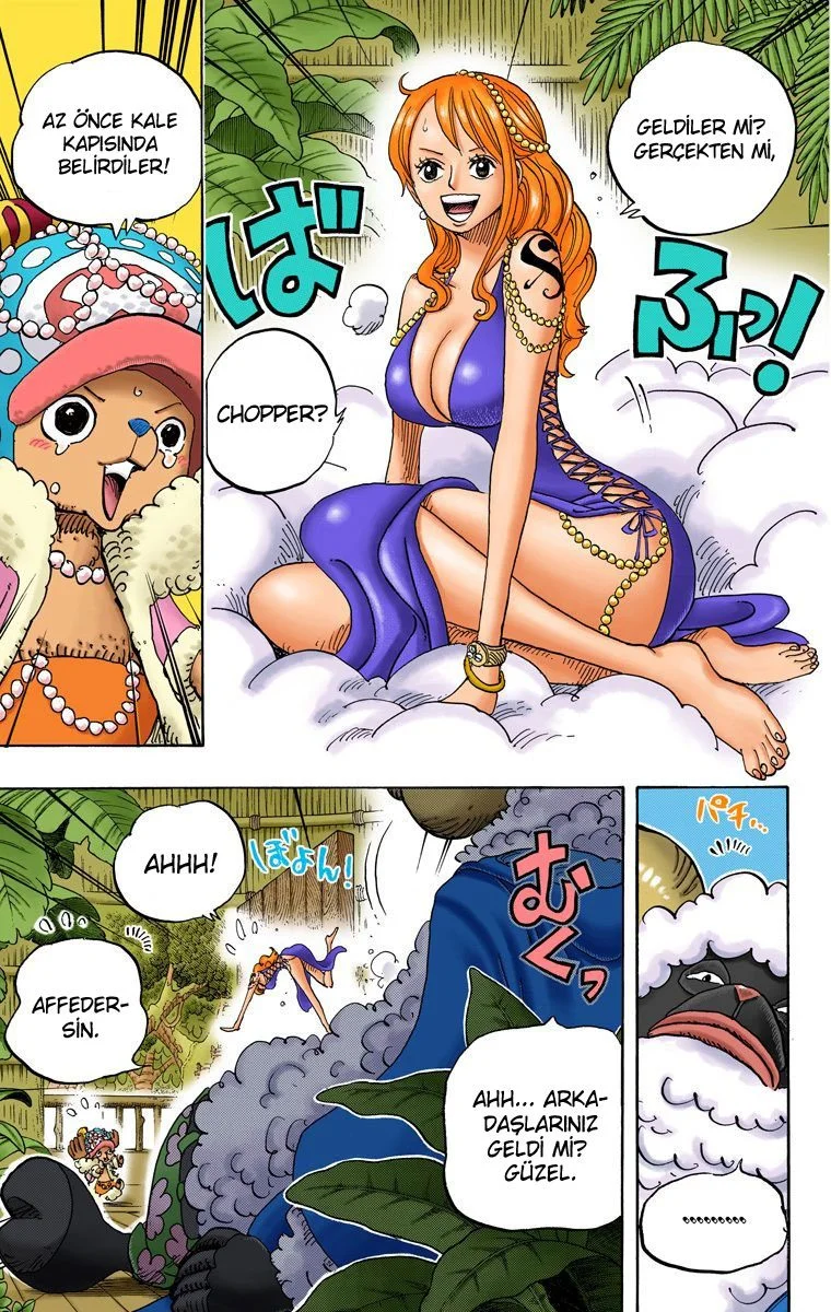 One Piece - Bölüm 806 - Sayfa 13