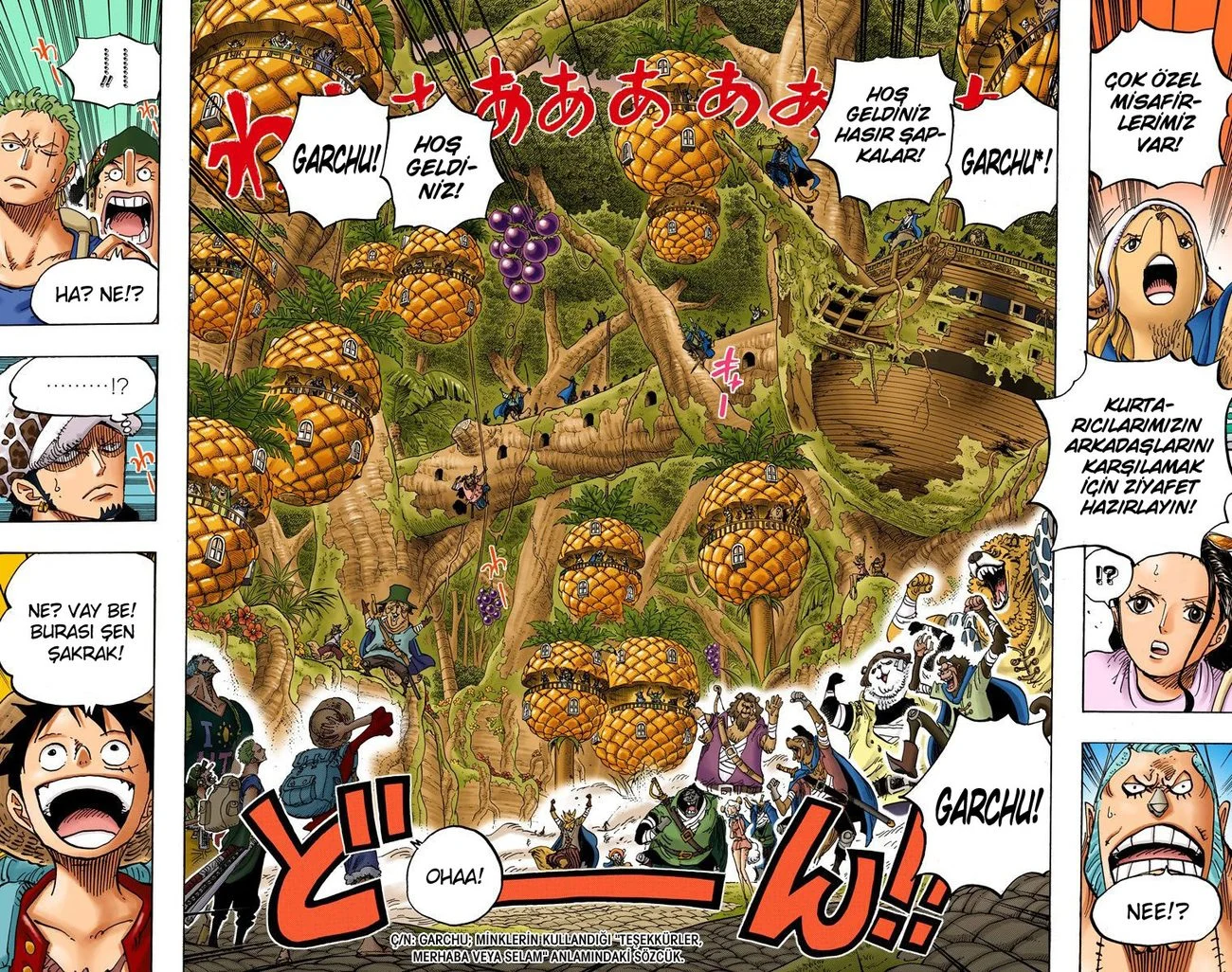 One Piece - Bölüm 806 - Sayfa 14