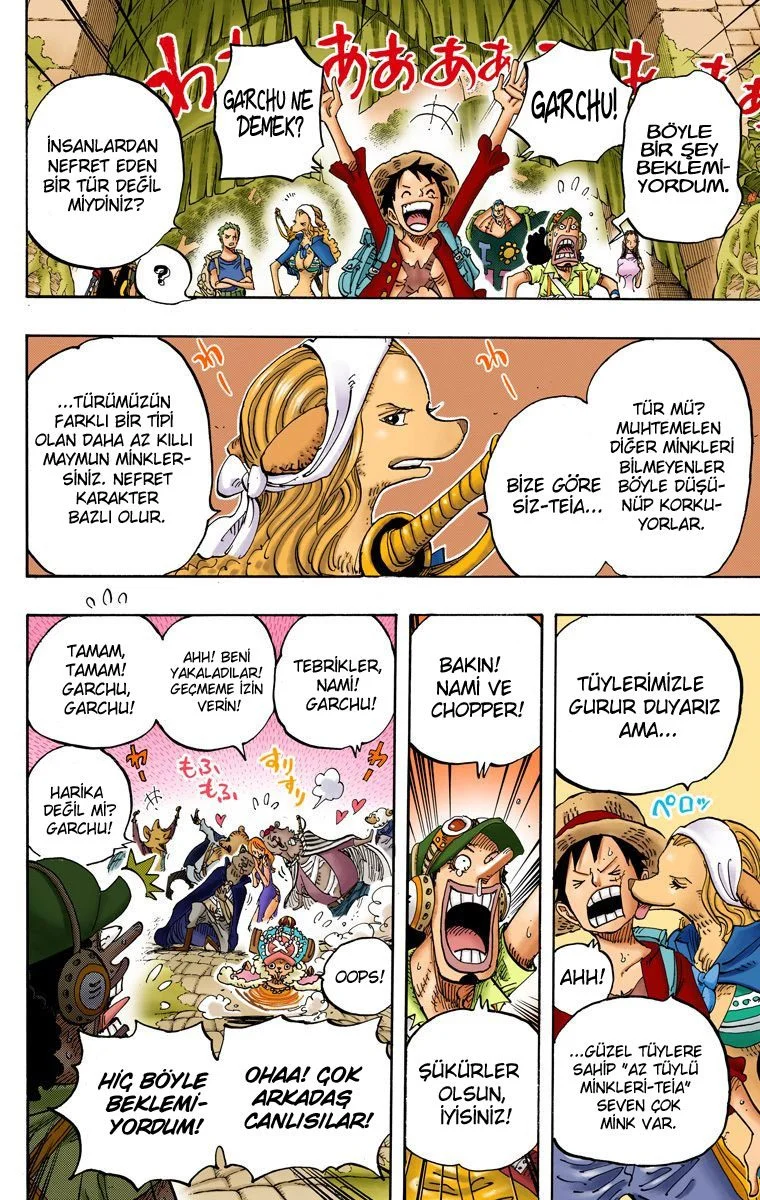 One Piece - Bölüm 806 - Sayfa 15