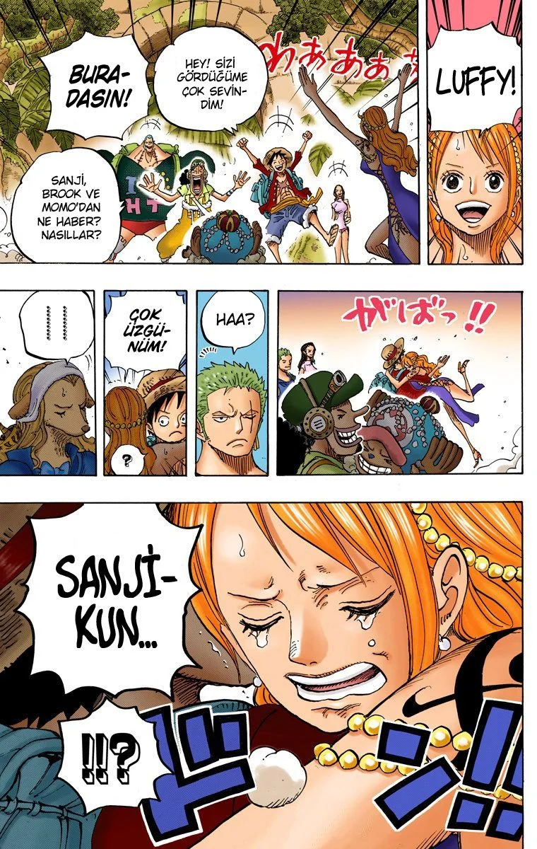 One Piece - Bölüm 806 - Sayfa 16