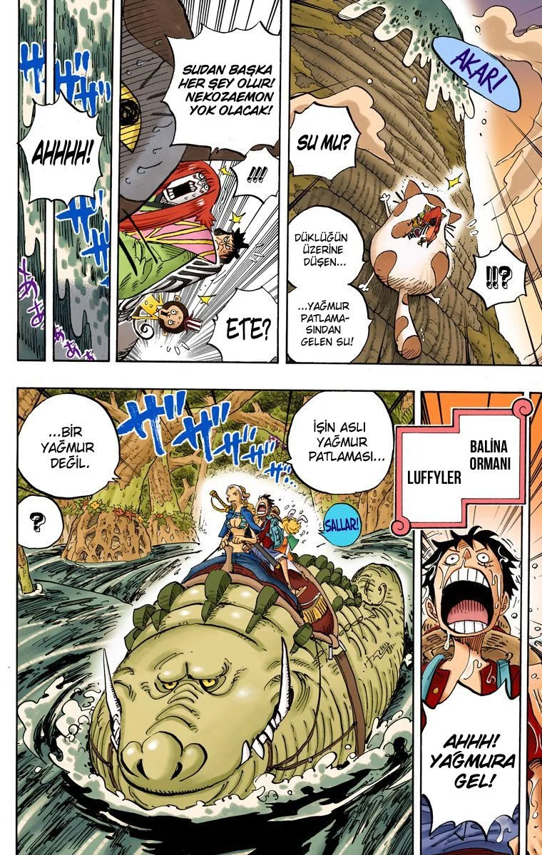 One Piece - Bölüm 806 - Sayfa 4