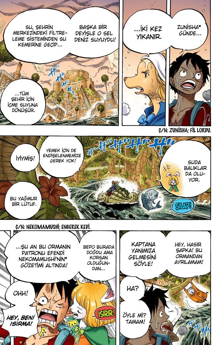One Piece - Bölüm 806 - Sayfa 5