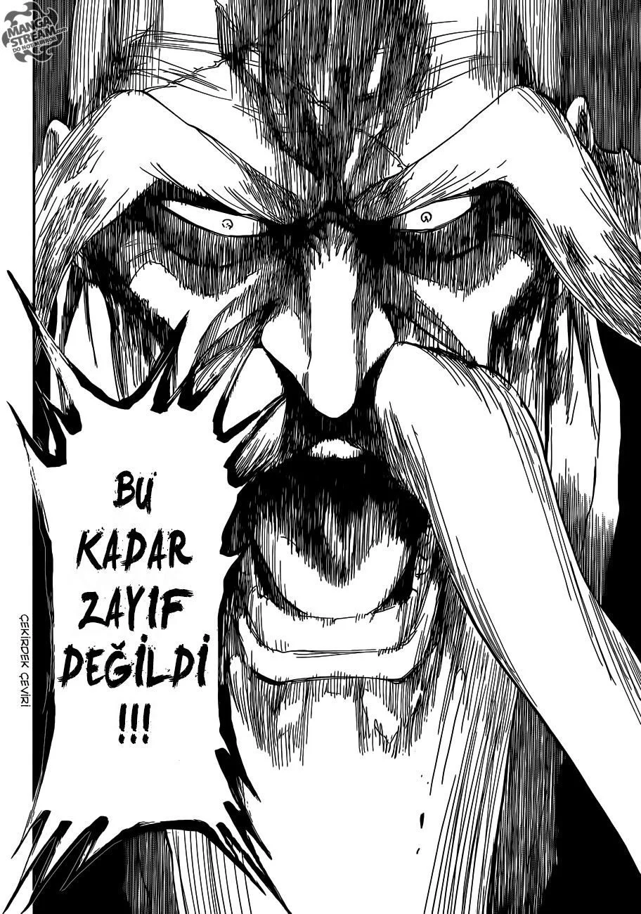 Bleach - Bölüm 504 - Sayfa 17