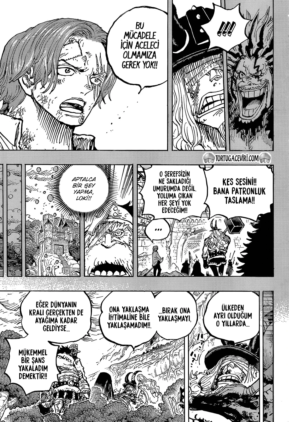 One Piece - Bölüm 1189 - Sayfa 10