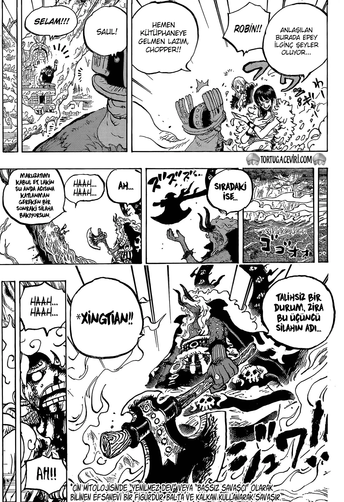 One Piece - Bölüm 1189 - Sayfa 12