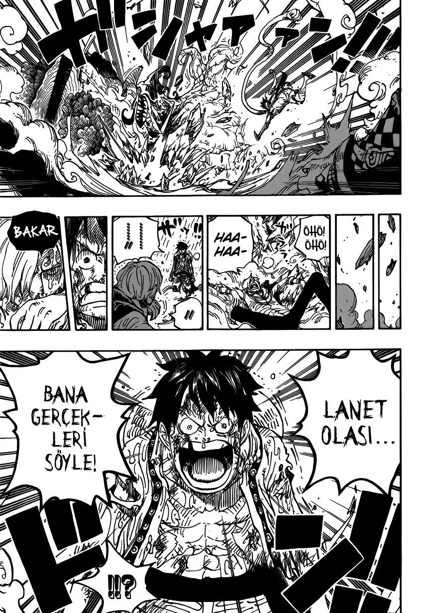 One Piece - Bölüm 856 - Sayfa 15
