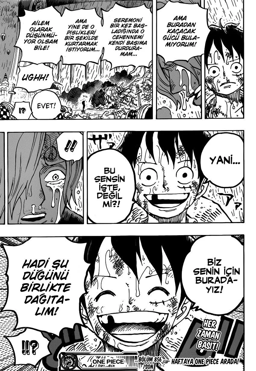 One Piece - Bölüm 856 - Sayfa 17