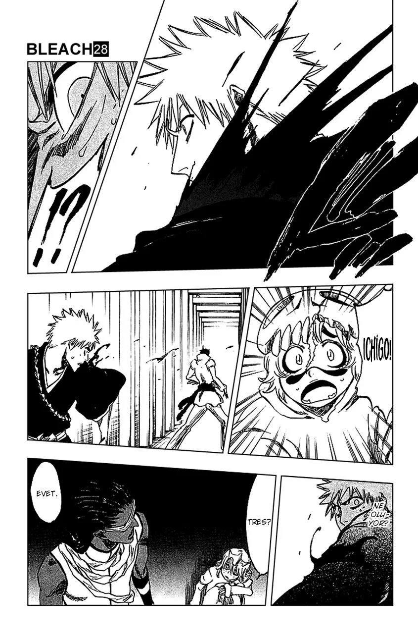 Bleach - Bölüm 250 - Sayfa 17