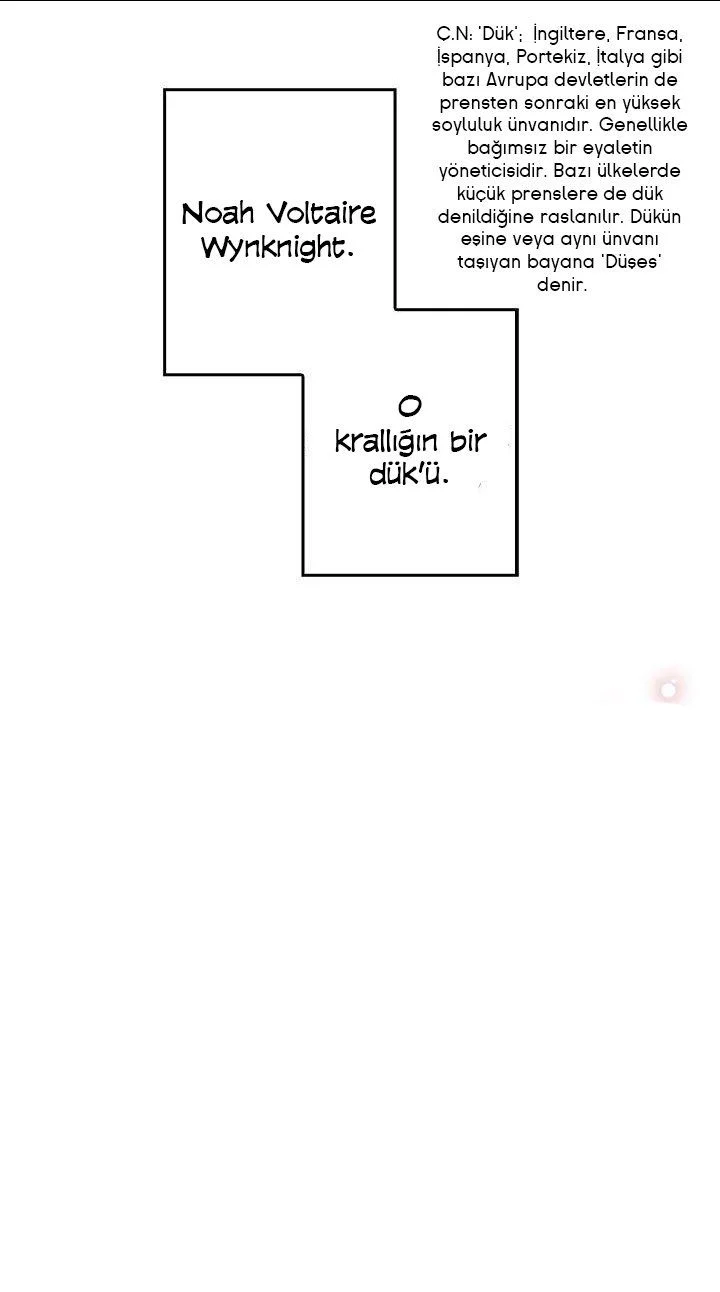 The Reason Why Raeliana Ended up at the Duke's Mansion - Bölüm 2 - Sayfa 26