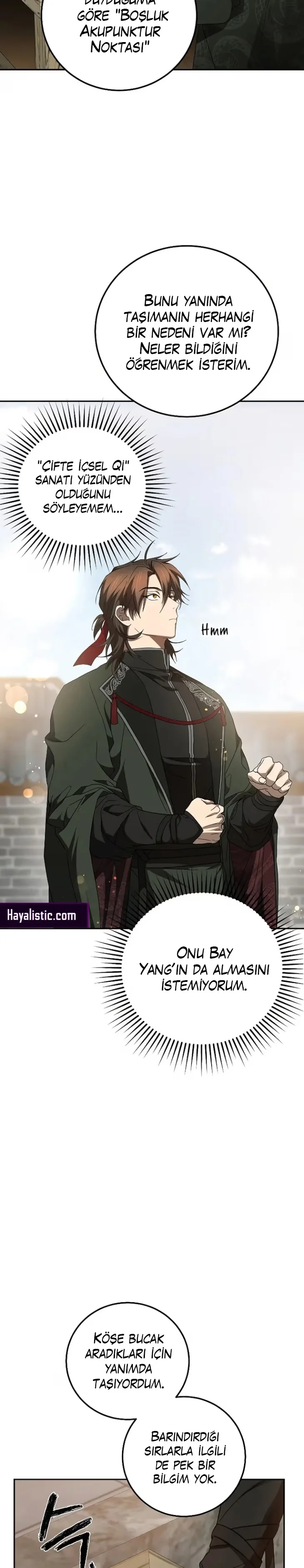 Wandering Warrior of Wudang - Bölüm 118 - Sayfa 13