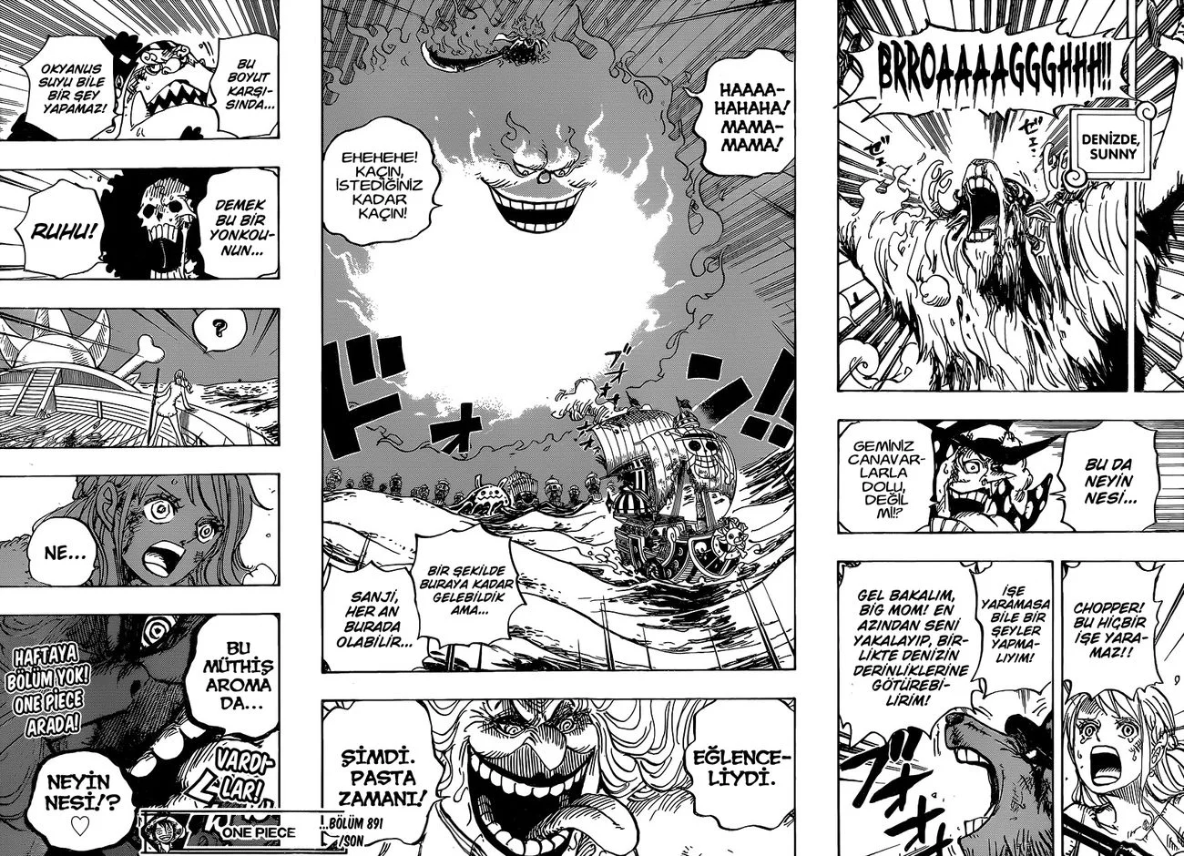 One Piece - Bölüm 891 - Sayfa 15