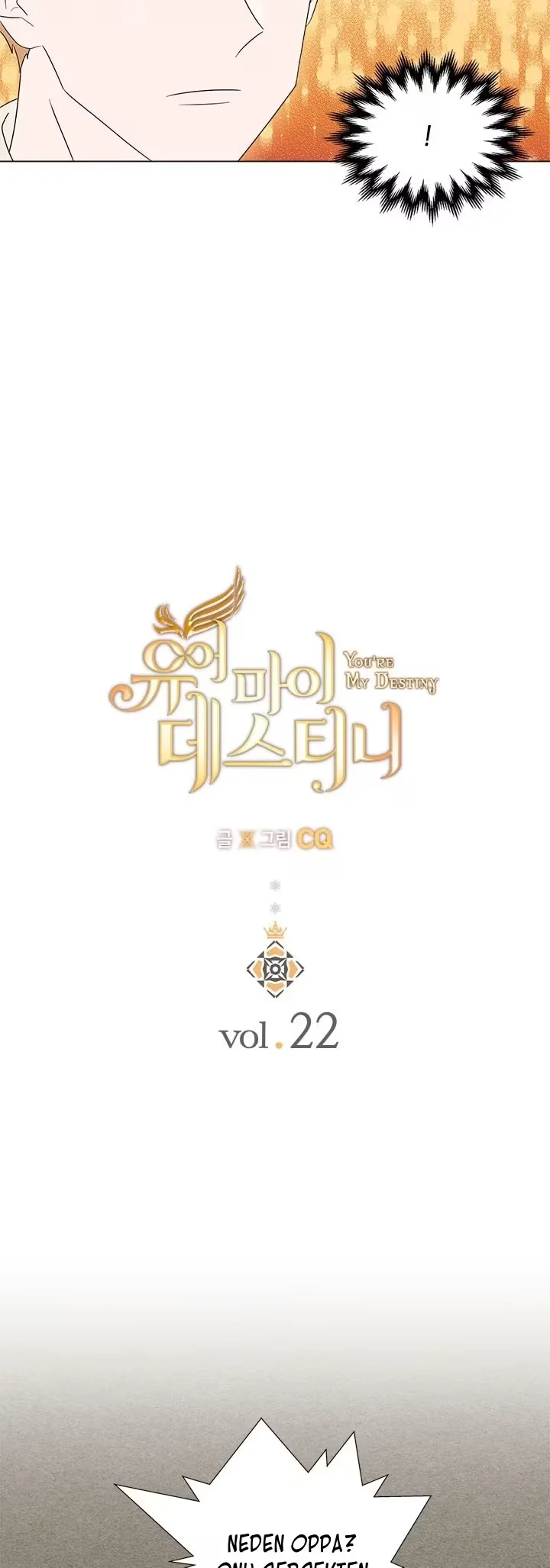 You Are My Destiny - Bölüm 22 - Sayfa 6
