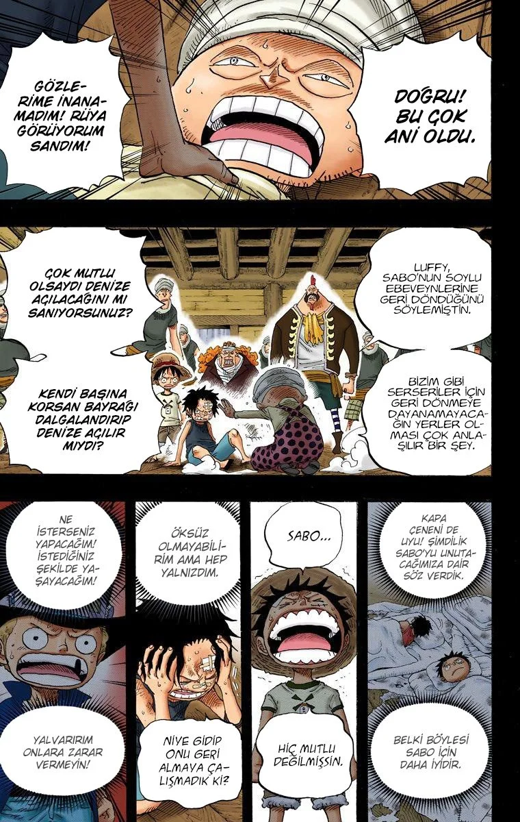 One Piece - Bölüm 588 - Sayfa 14