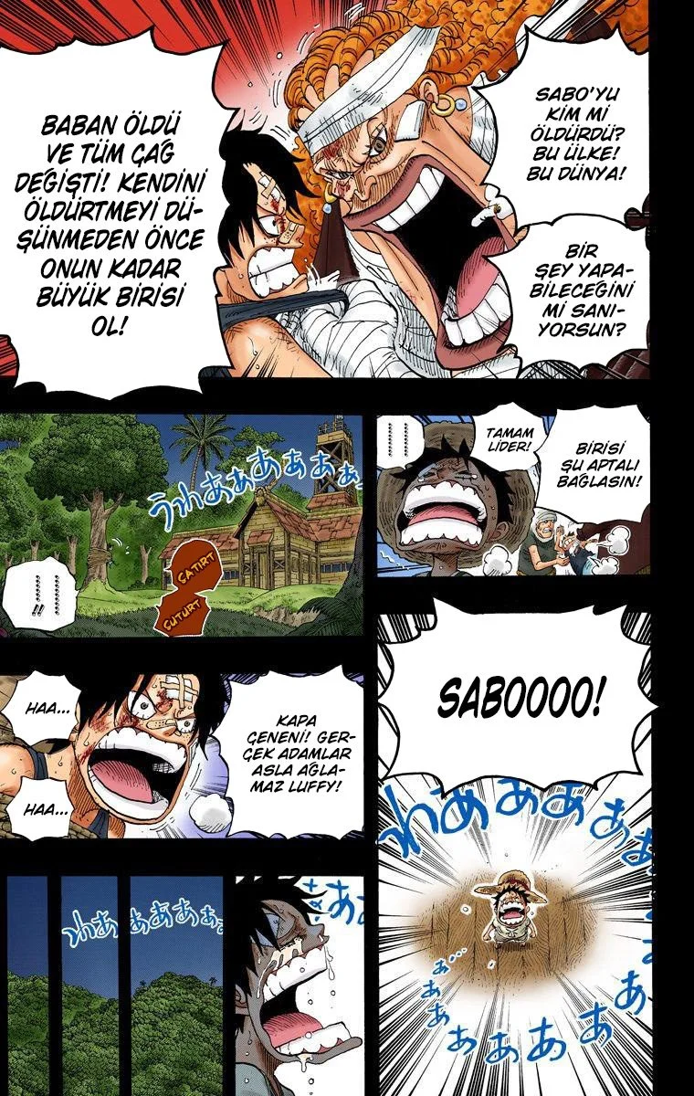 One Piece - Bölüm 588 - Sayfa 16