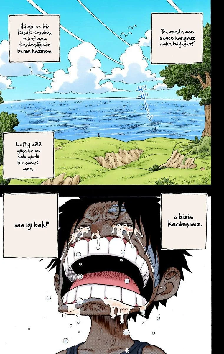 One Piece - Bölüm 588 - Sayfa 18
