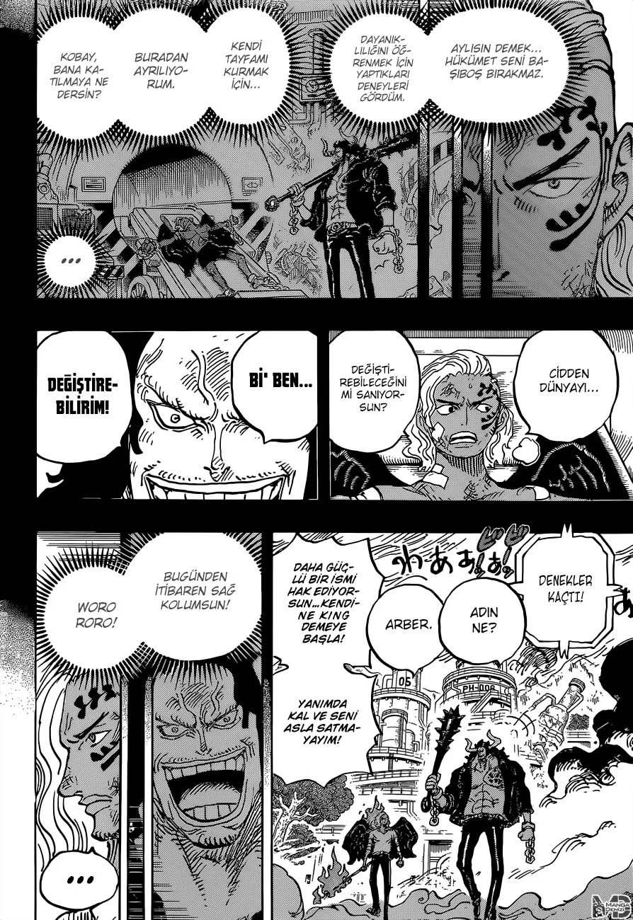 One Piece - Bölüm 1035 - Sayfa 10