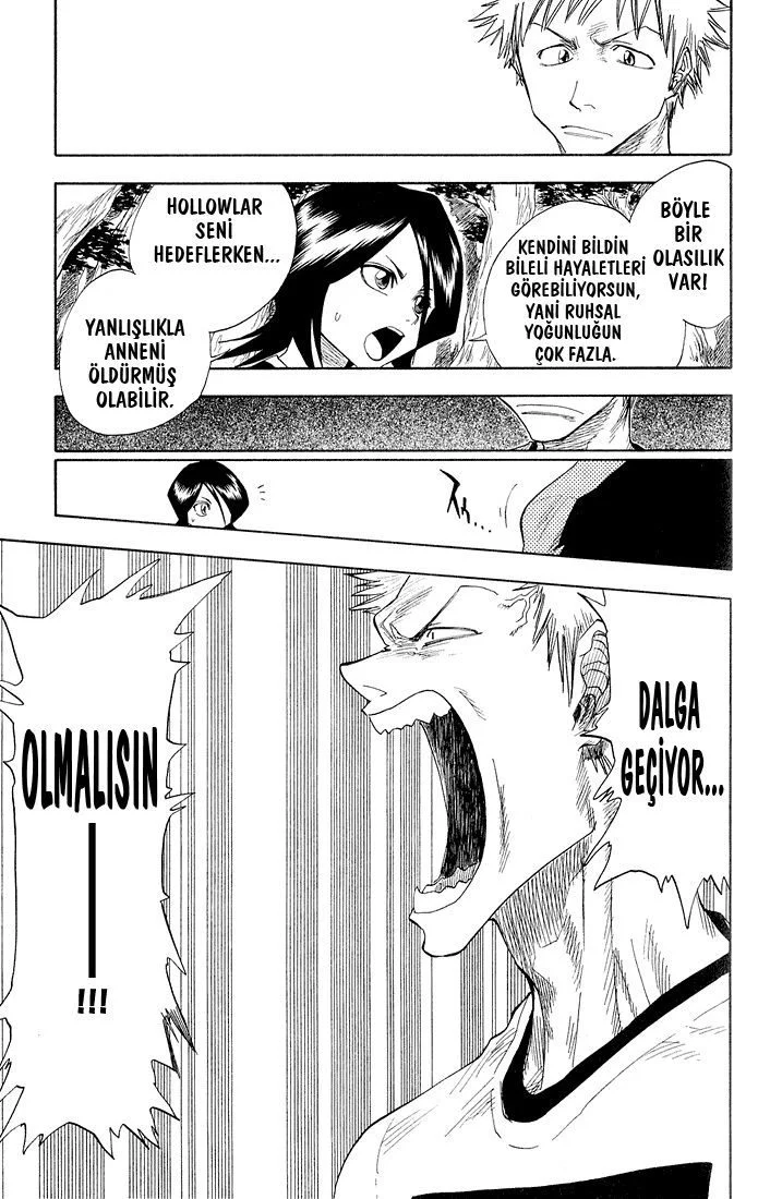 Bleach - Bölüm 18 - Sayfa 12