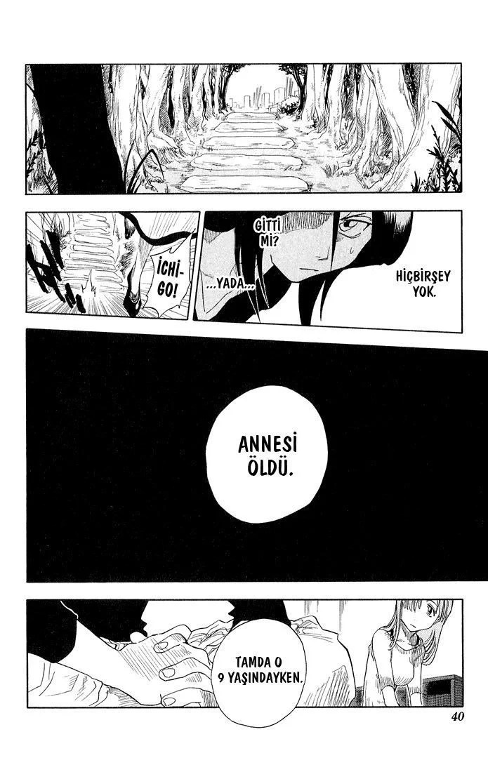 Bleach - Bölüm 18 - Sayfa 15
