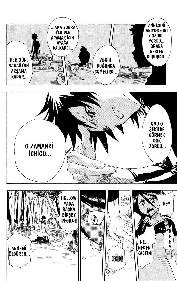 Bleach - Bölüm 18 - Sayfa 17