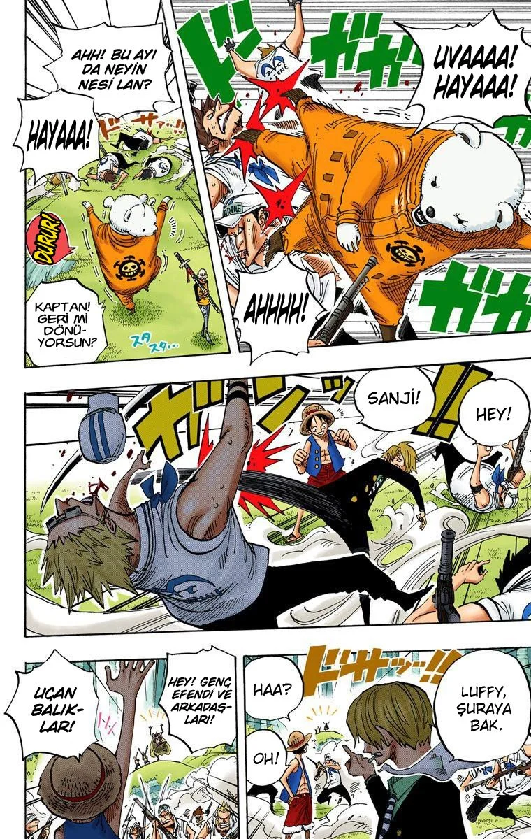 One Piece - Bölüm 505 - Sayfa 13
