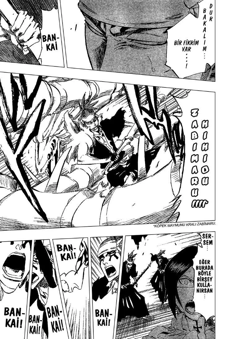 Bleach - Bölüm 292 - Sayfa 13