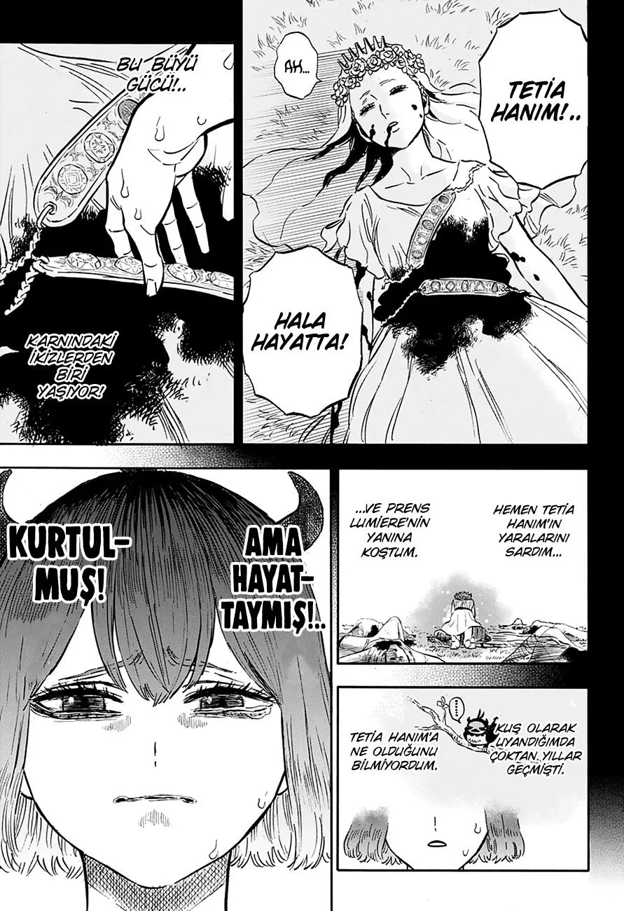 Black Clover - Bölüm 265 - Sayfa 5
