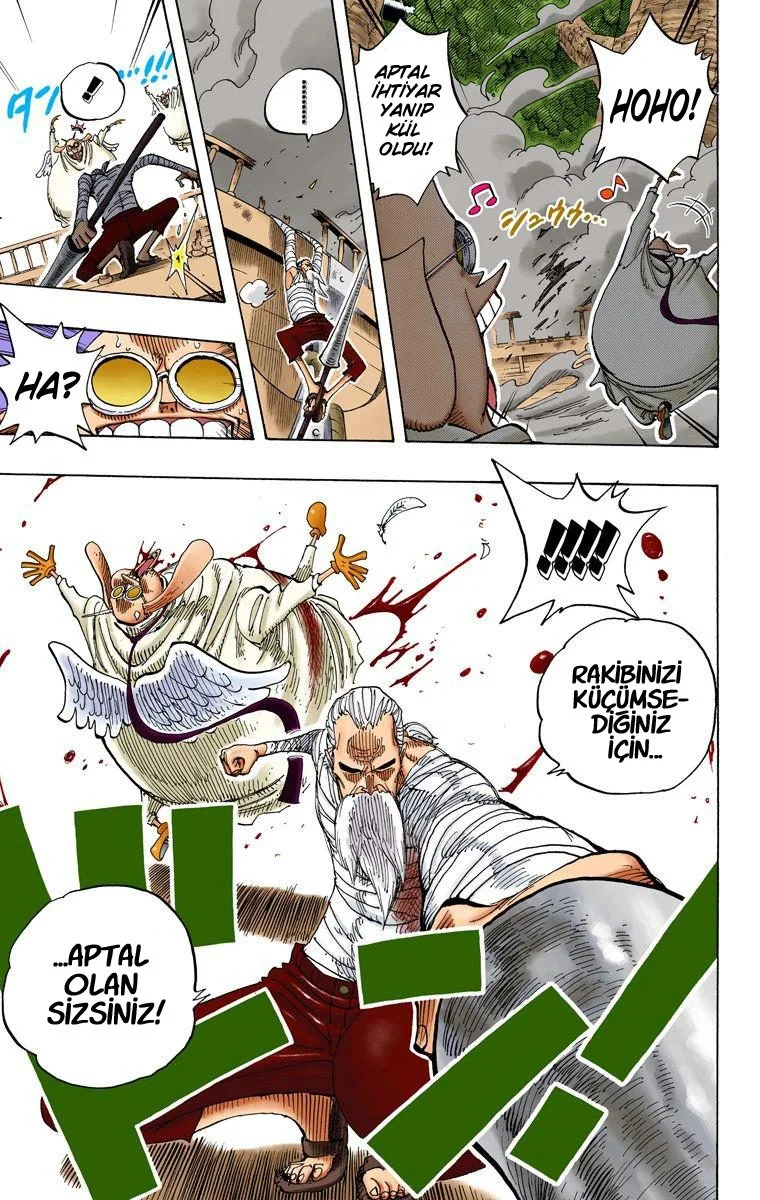 One Piece - Bölüm 263 - Sayfa 13