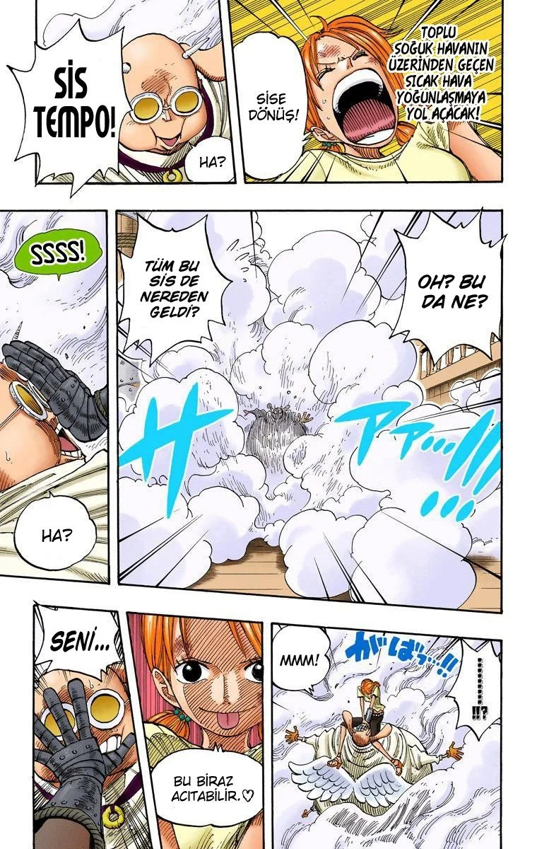 One Piece - Bölüm 263 - Sayfa 17