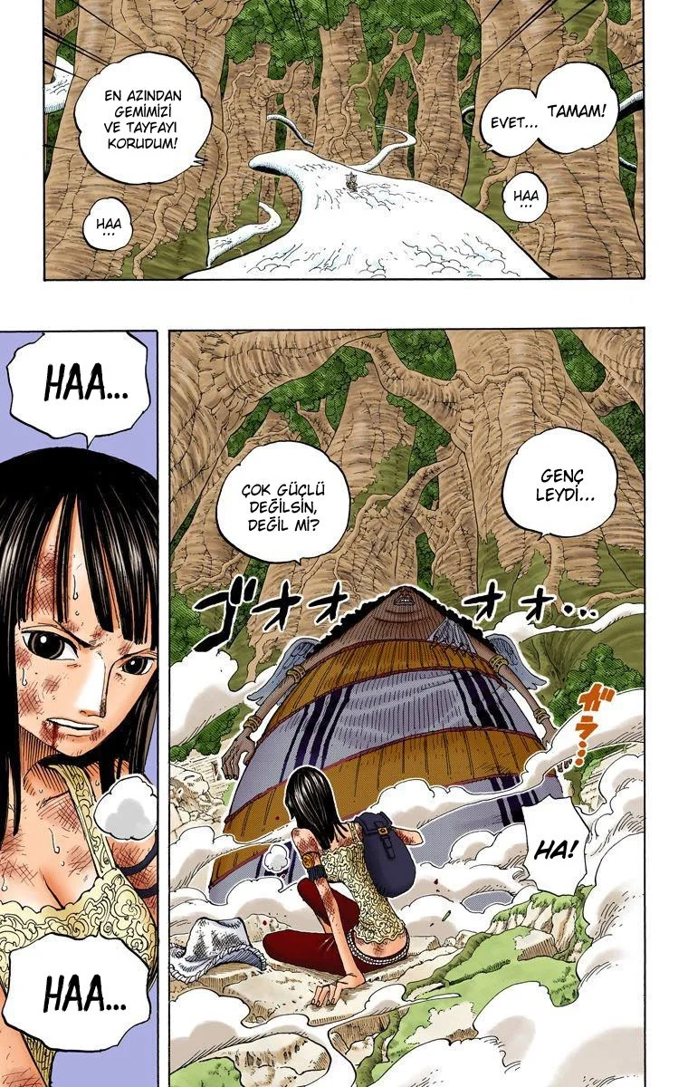 One Piece - Bölüm 263 - Sayfa 19