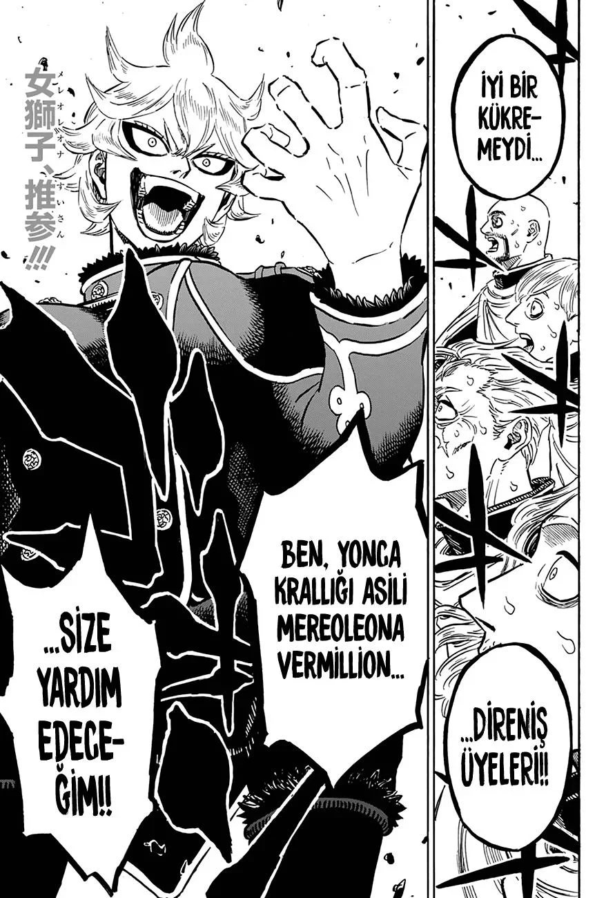 Black Clover - Bölüm 274 - Sayfa 17