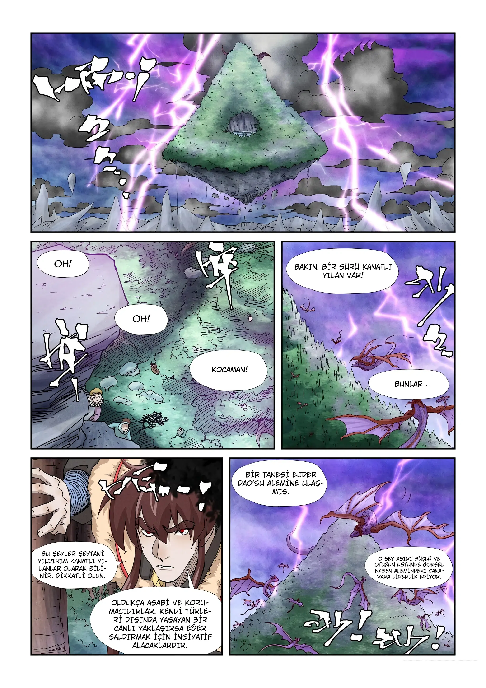 Tales of Demons and Gods - Bölüm 356.5 - Sayfa 6