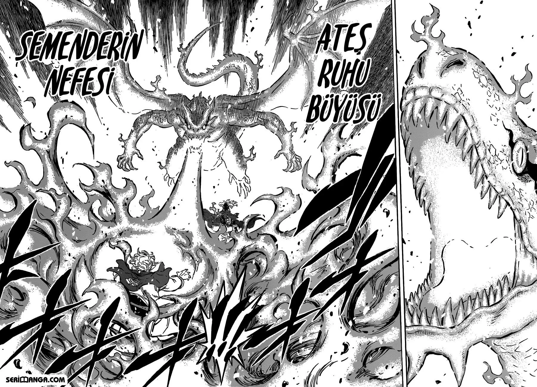 Black Clover - Bölüm 172 - Sayfa 5