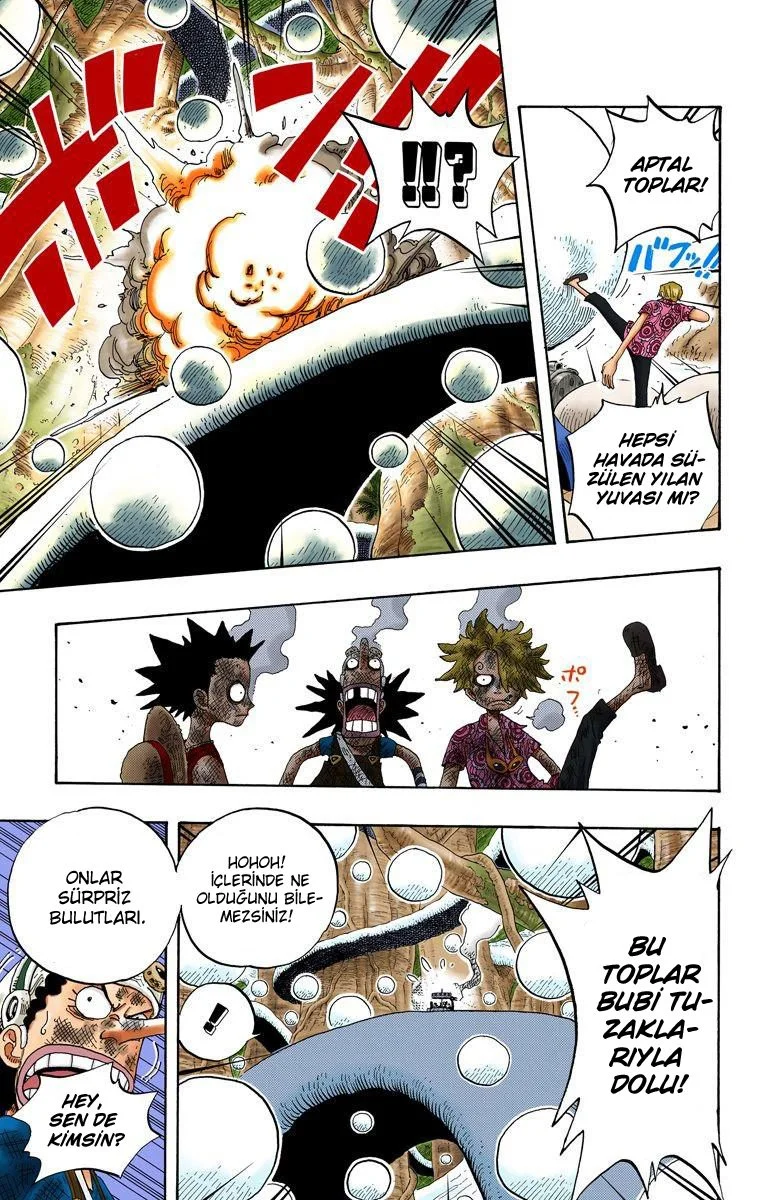 One Piece - Bölüm 246 - Sayfa 10