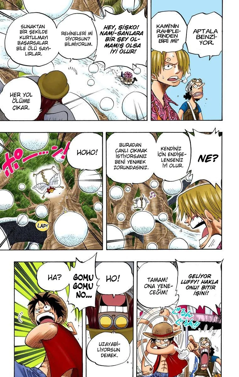 One Piece - Bölüm 246 - Sayfa 12