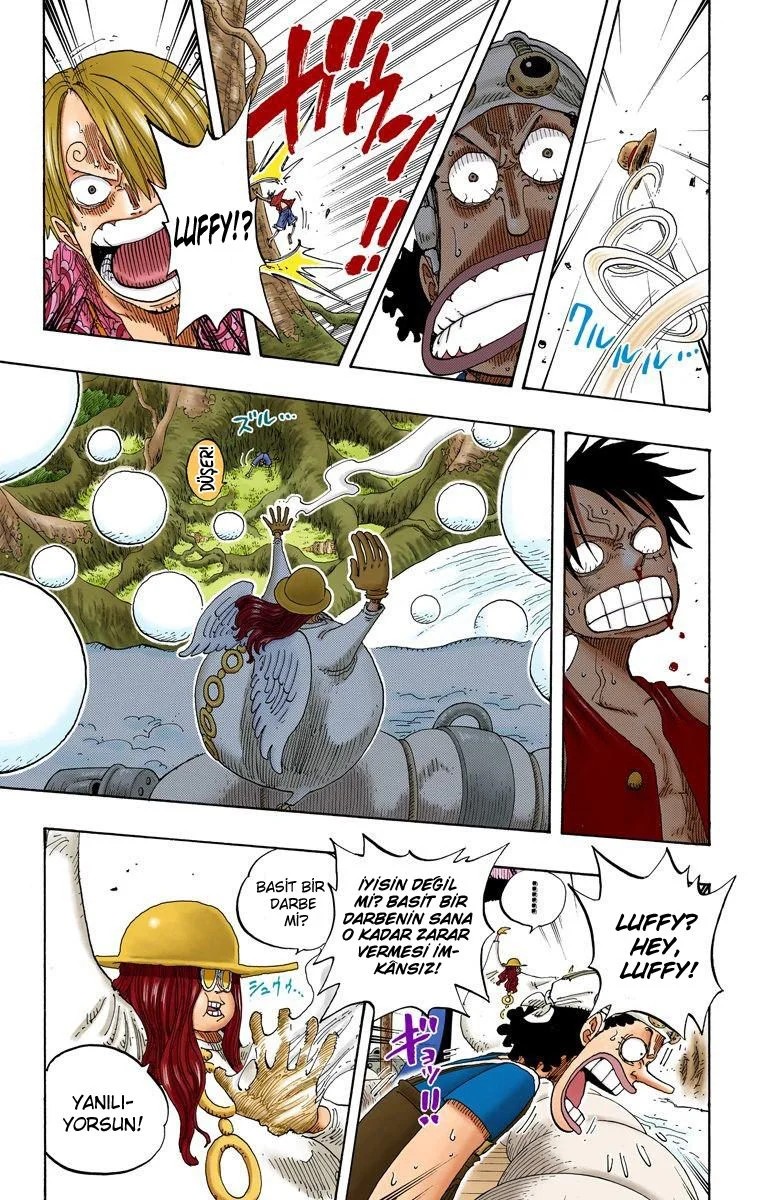 One Piece - Bölüm 246 - Sayfa 14