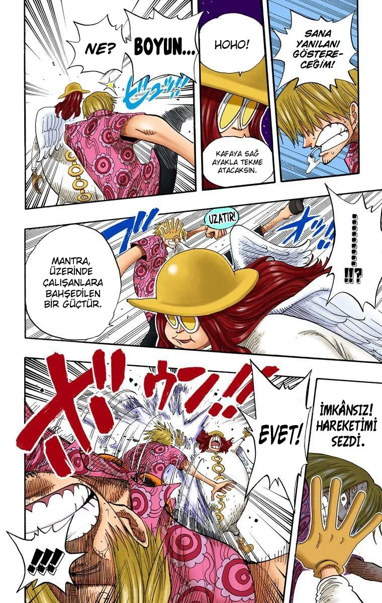One Piece - Bölüm 246 - Sayfa 15