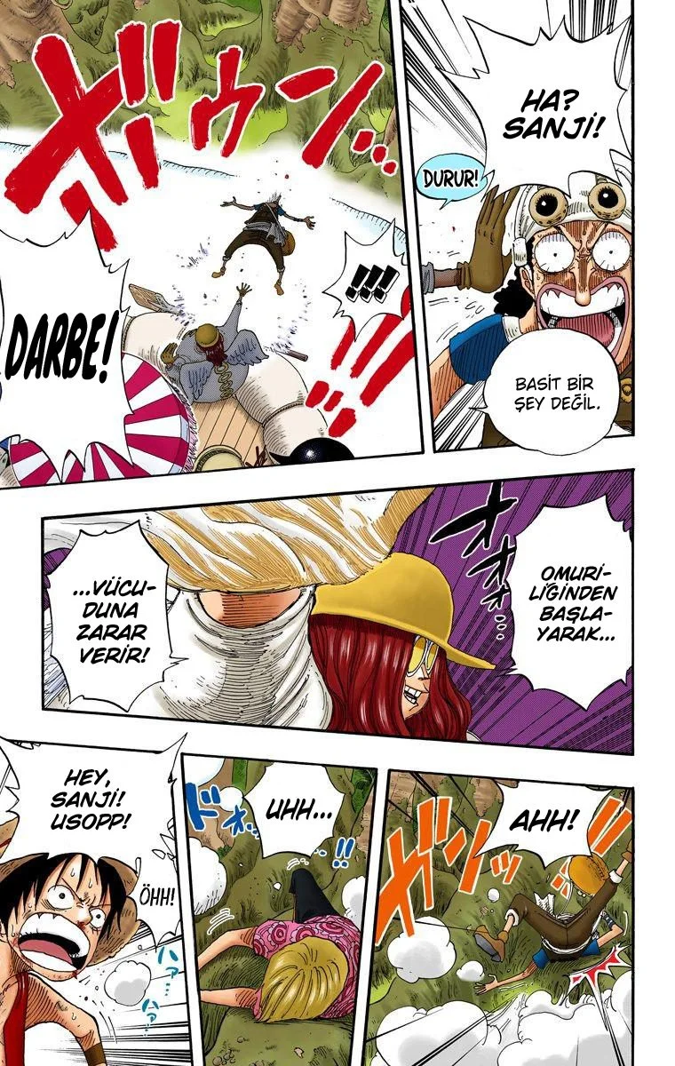 One Piece - Bölüm 246 - Sayfa 16