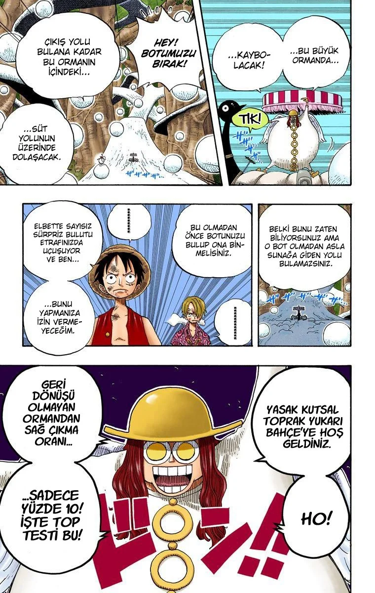 One Piece - Bölüm 246 - Sayfa 18
