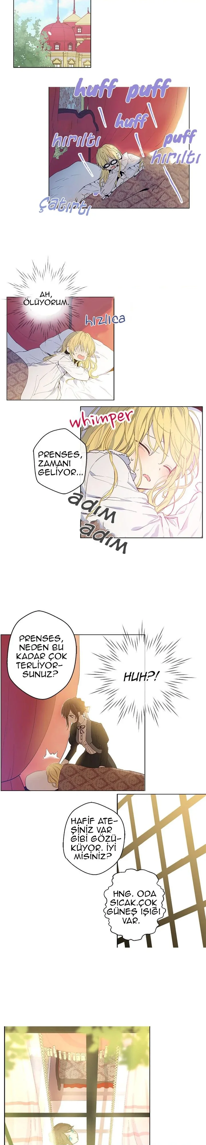 Who Made Me a Princess - Bölüm 5 - Sayfa 12