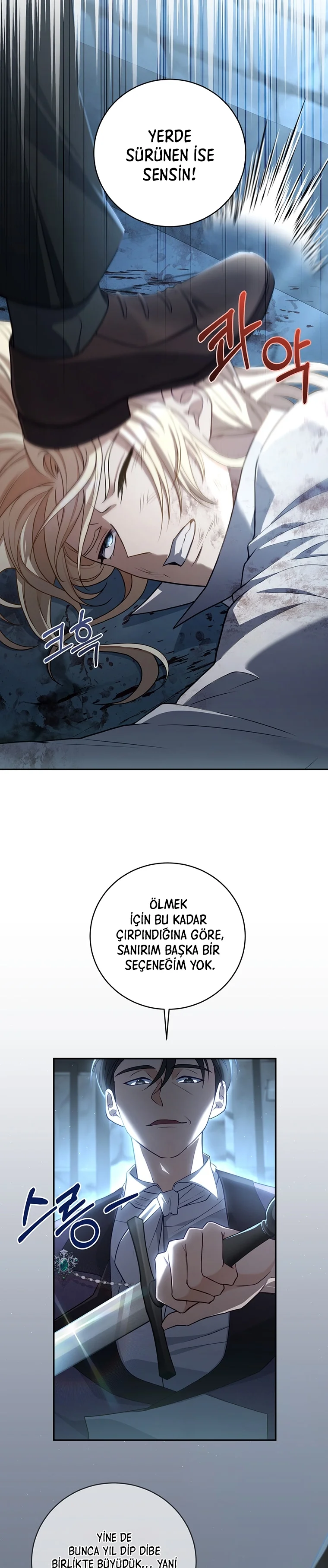 The Margrave's Bastard Son Was the Emperor - Bölüm 1 - Sayfa 10